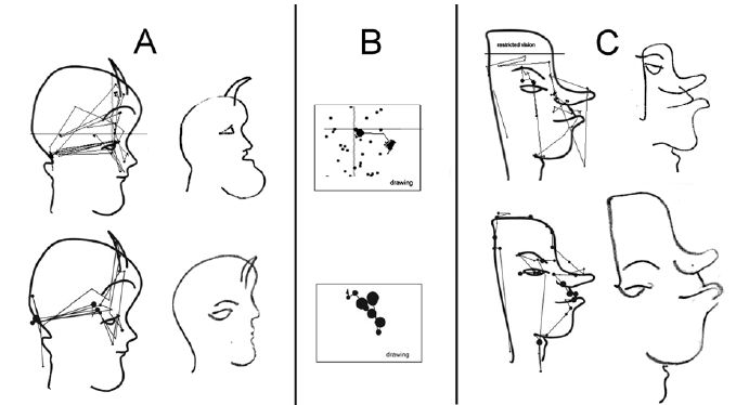 Even For Non-Artists, Brain 'Connects The Dots' When Drawing Faces
